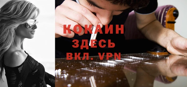шишки Волоколамск