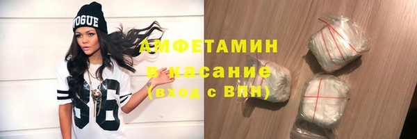 сатива Волосово