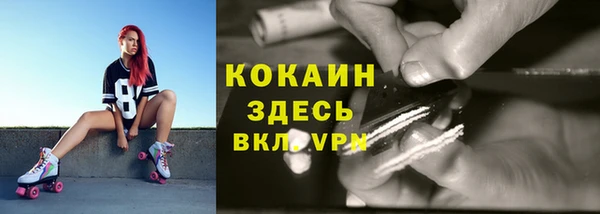 шишки Волоколамск