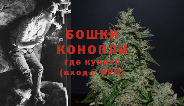 шишки Волоколамск