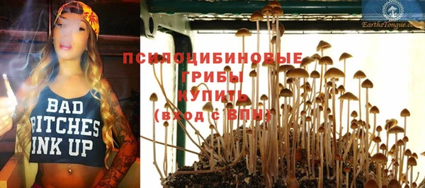 шишки Волоколамск